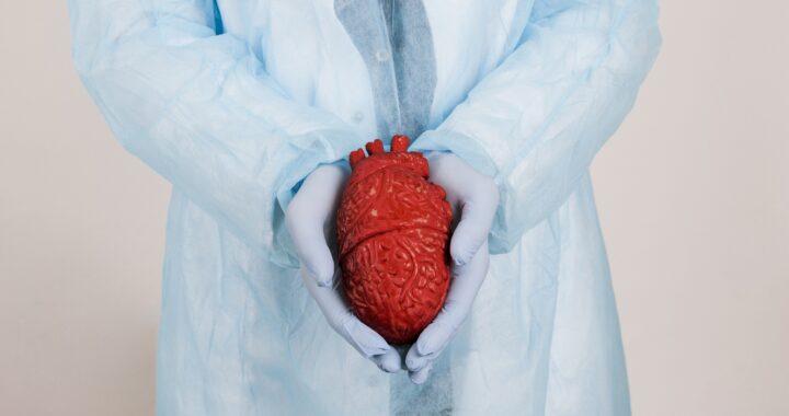 Ukraina – laittoman elinkaupan keskus