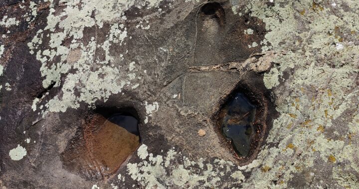 Järjestystä maailmaan