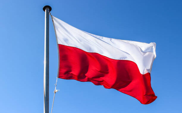 Puolassa perusteilla Venäjä-mielinen poliittinen järjestö