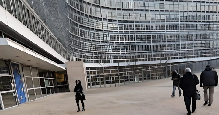 Suklaata ja Brysselin pitsiä