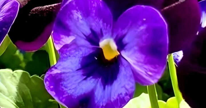 Äitienpäivänä 2025